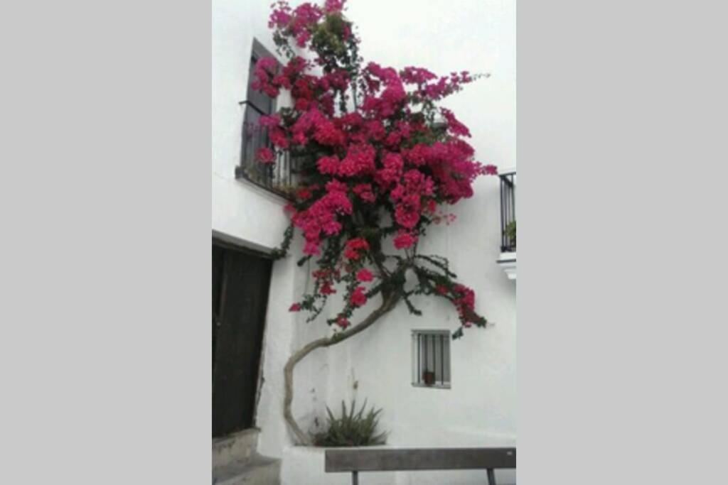 Ferienwohnung Albayalde Cielo Y Mar Vejer de la Frontera Exterior foto