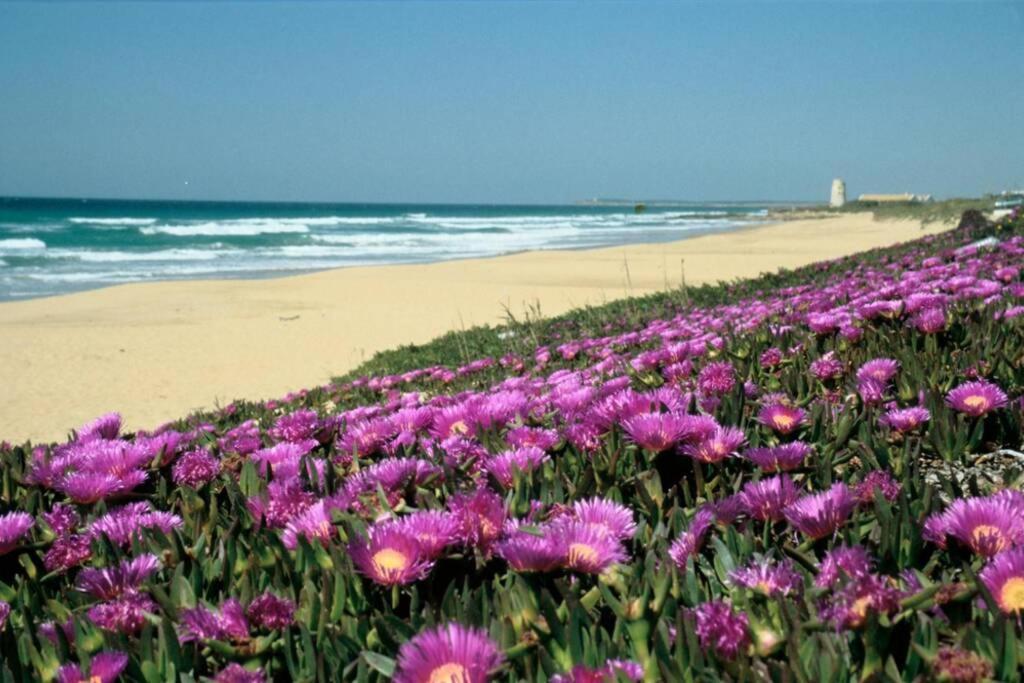 Ferienwohnung Albayalde Cielo Y Mar Vejer de la Frontera Exterior foto